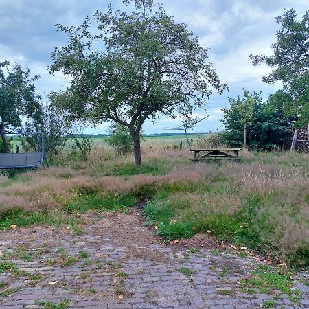 Ferienwohnung Logeerruimte In Gerenoveerde Boerderij In Wachtum Exterior foto