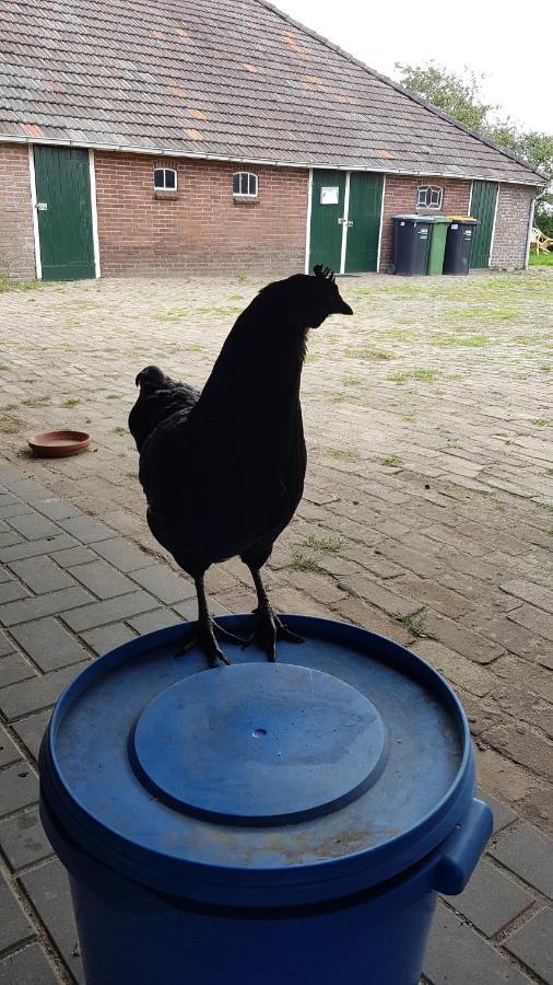 Ferienwohnung Logeerruimte In Gerenoveerde Boerderij In Wachtum Exterior foto