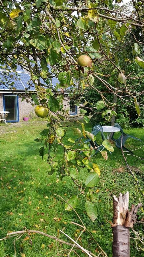 Ferienwohnung Logeerruimte In Gerenoveerde Boerderij In Wachtum Exterior foto