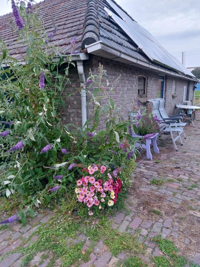 Ferienwohnung Logeerruimte In Gerenoveerde Boerderij In Wachtum Exterior foto
