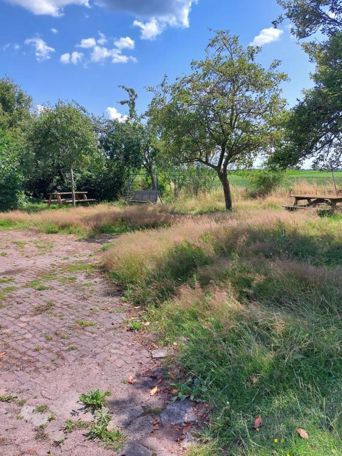 Ferienwohnung Logeerruimte In Gerenoveerde Boerderij In Wachtum Exterior foto