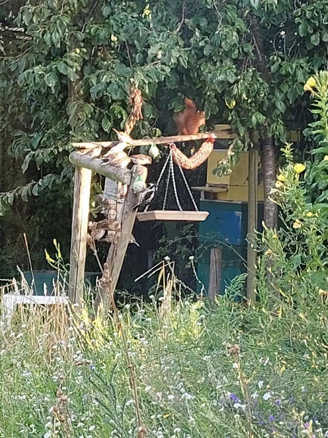 Ferienwohnung Logeerruimte In Gerenoveerde Boerderij In Wachtum Exterior foto